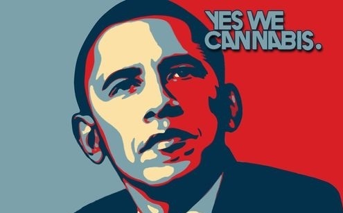 Can we, or can't we cannabis?
